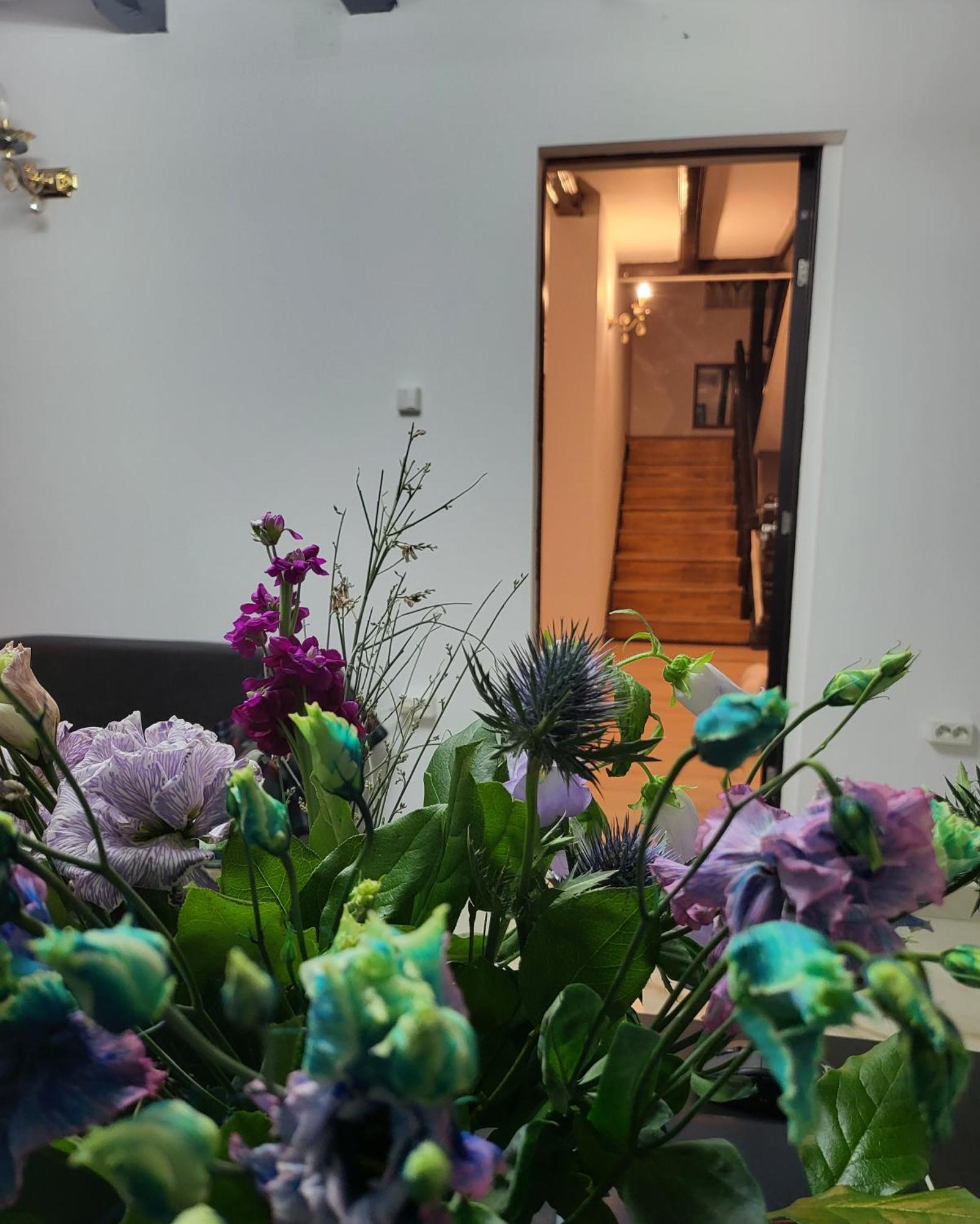 Adac Boutique Hotel Pantelimon Екстериор снимка