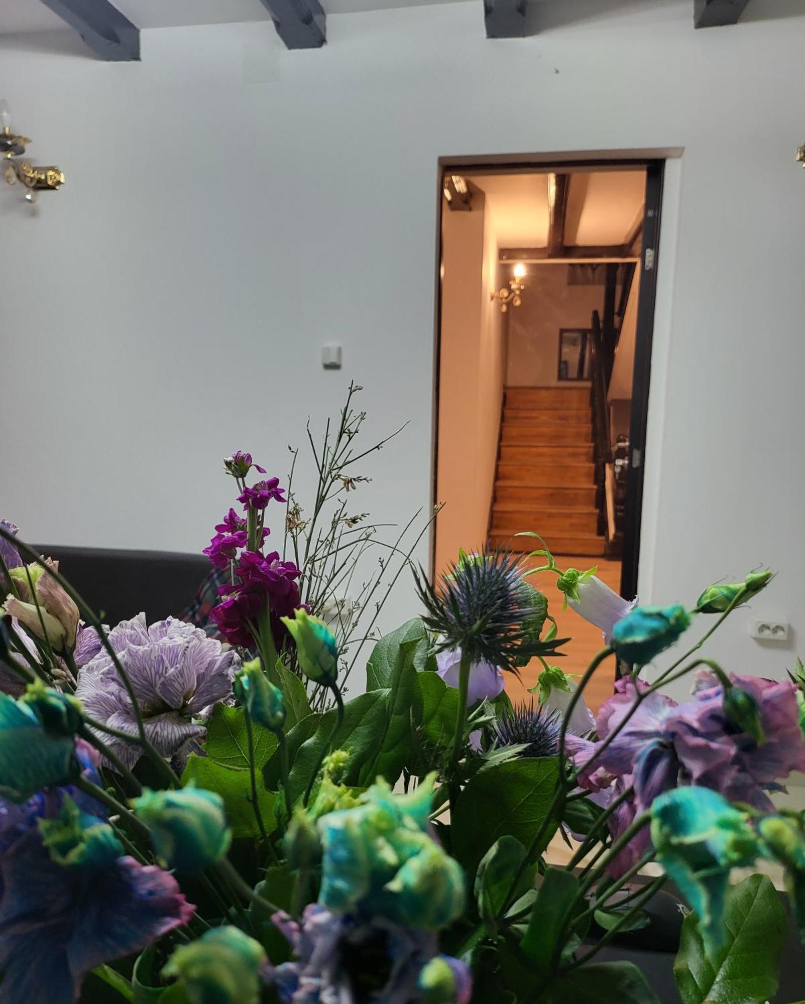 Adac Boutique Hotel Pantelimon Екстериор снимка